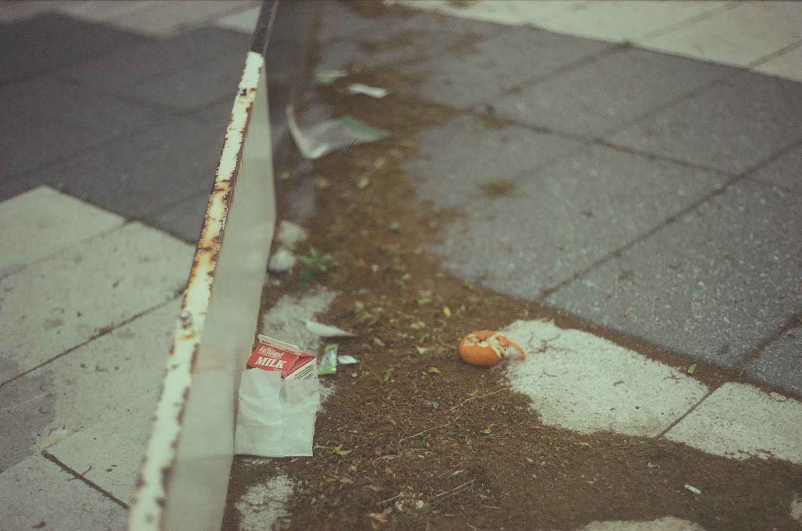 detritus in porter