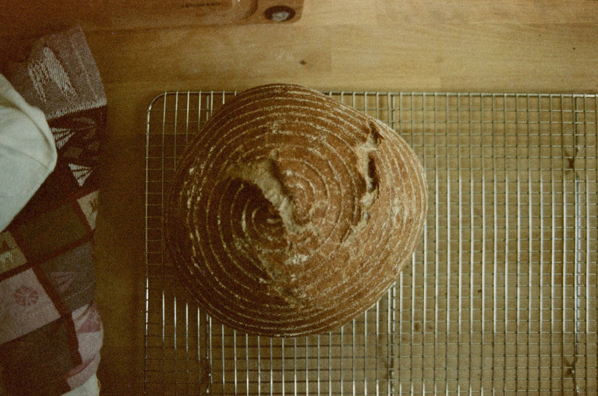 sofia's bread